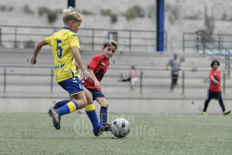 Fotos: El benjamín de la UD se pone en marcha