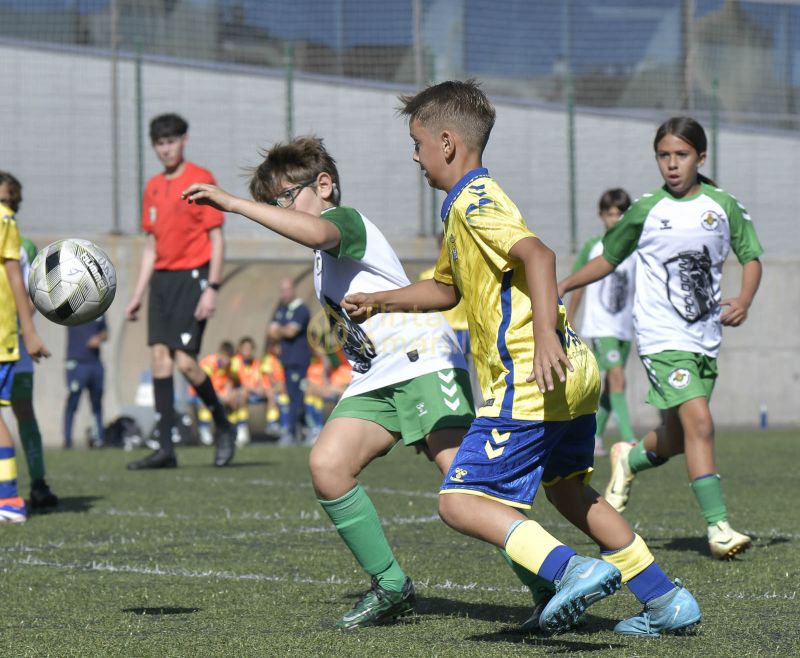 Fotos: Alevín Fundación de la UD vs Villa 