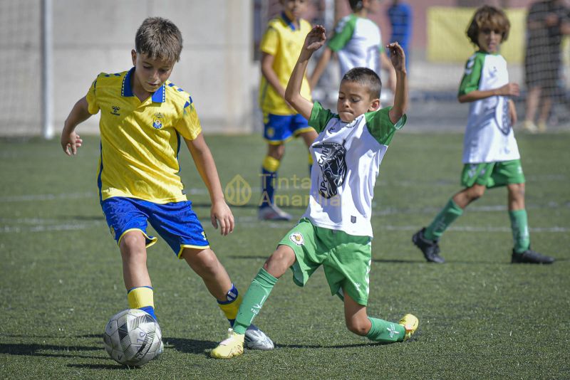 Fotos: Alevín Fundación de la UD vs Villa 