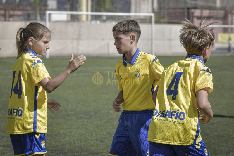 Fotos: Alevín Fundación de la UD vs Villa 