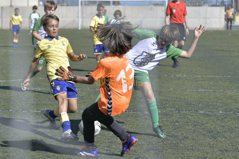 Fotos: Alevín Fundación de la UD vs Villa 