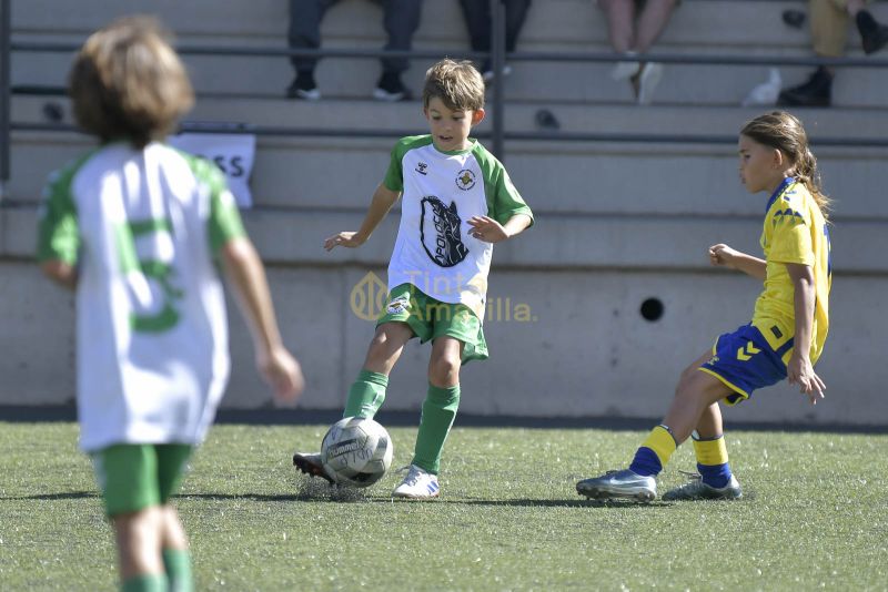 Fotos: Alevín Fundación de la UD vs Villa 