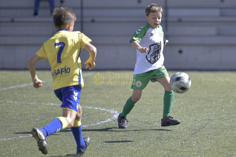 Fotos: Alevín Fundación de la UD vs Villa 