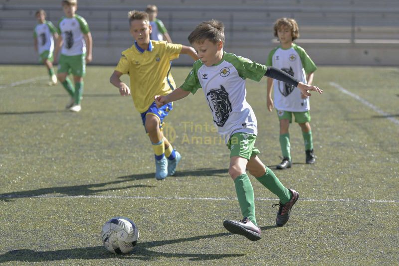 Fotos: Alevín Fundación de la UD vs Villa 