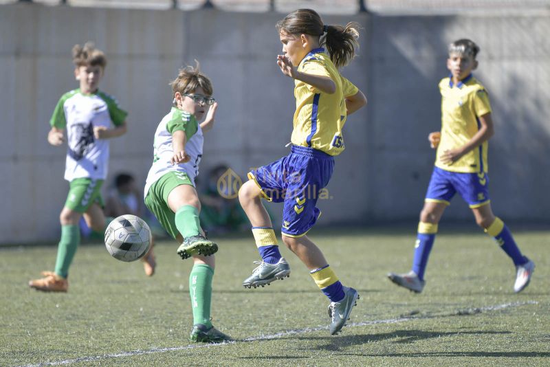 Fotos: Alevín Fundación de la UD vs Villa 