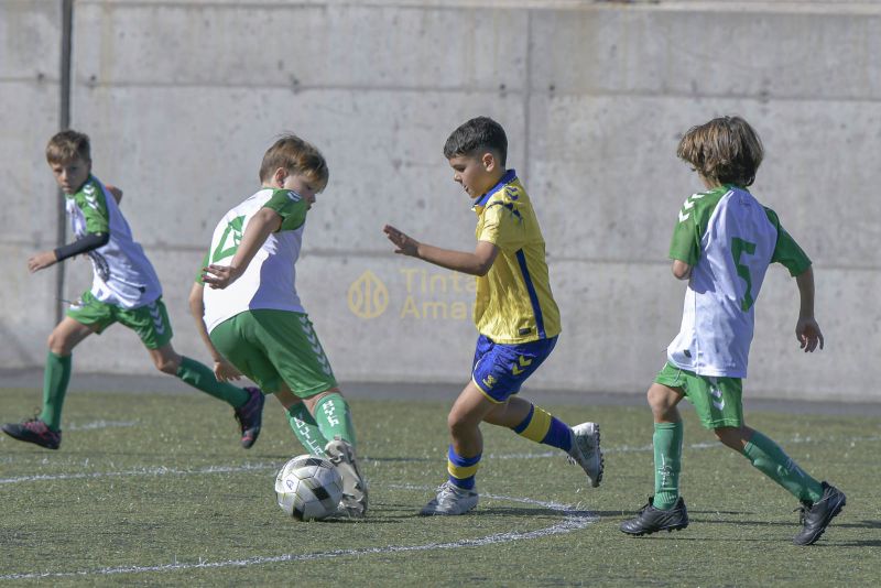 Fotos: Alevín Fundación de la UD vs Villa 