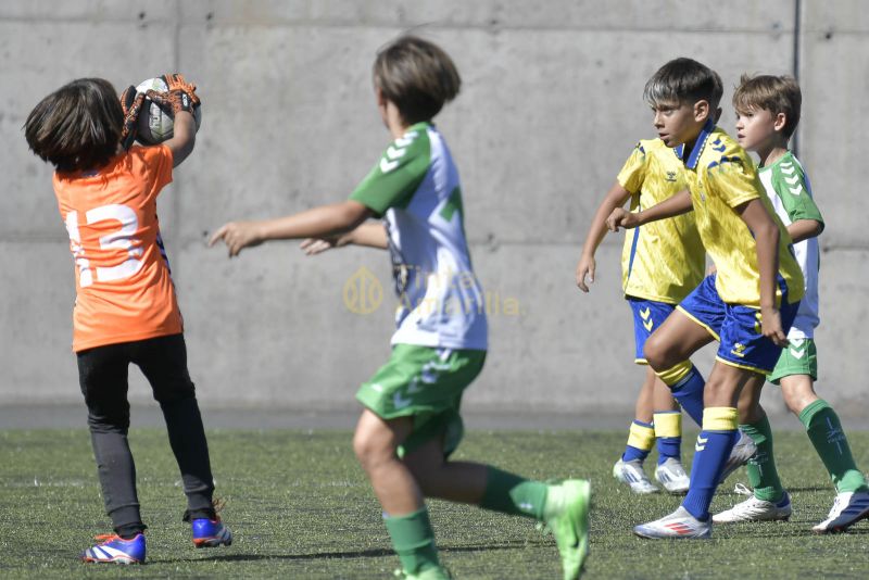 Fotos: Alevín Fundación de la UD vs Villa 