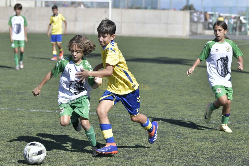 Fotos: Alevín Fundación de la UD vs Villa 