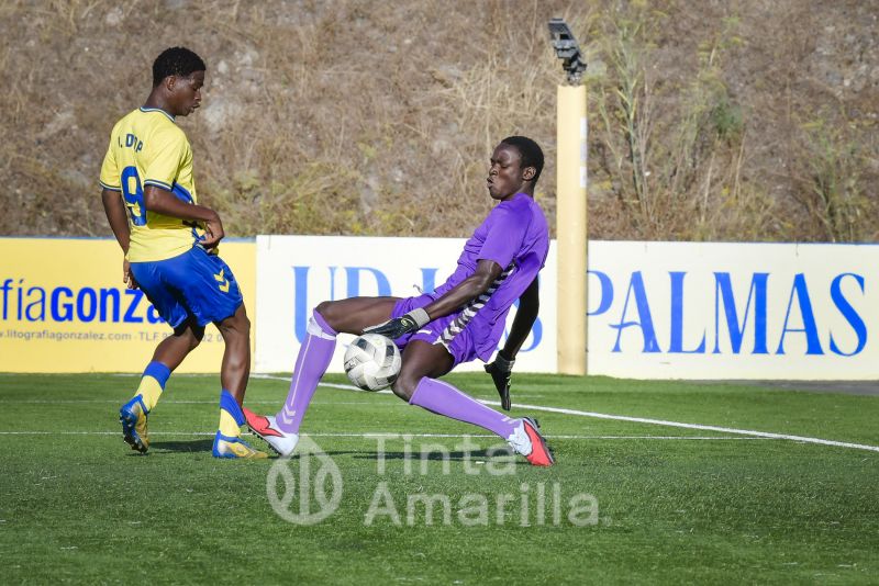 Fotos: Los equipos D de la UD Las Palmas y Muelle Grande cierran la temporada
