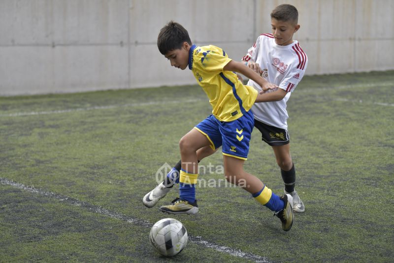 Fotos: El alevín de la UD recibe al Puertos