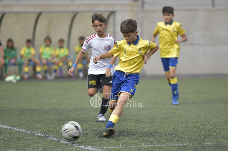 Fotos: El alevín de la UD recibe al Puertos