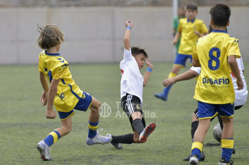 Fotos: El alevín de la UD recibe al Puertos