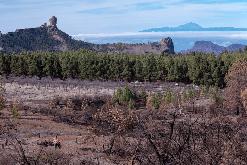 300 en la prueba de orientación del 26 de diciembre