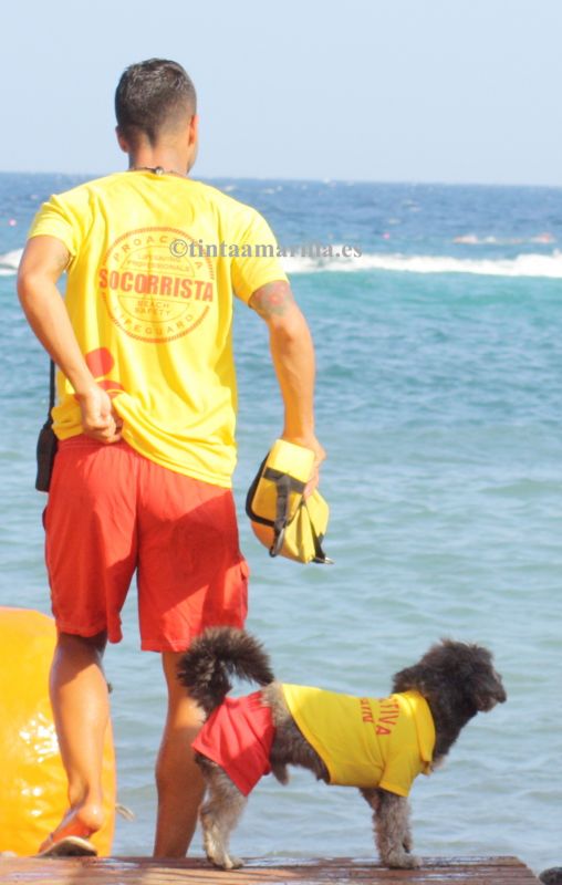 Socorristas en equipo