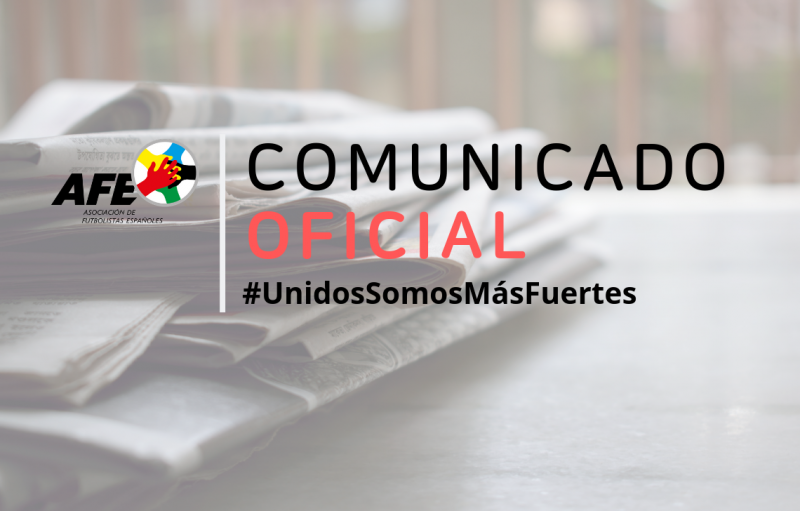 La AFE pide una Segunda de ¡26 equipos!