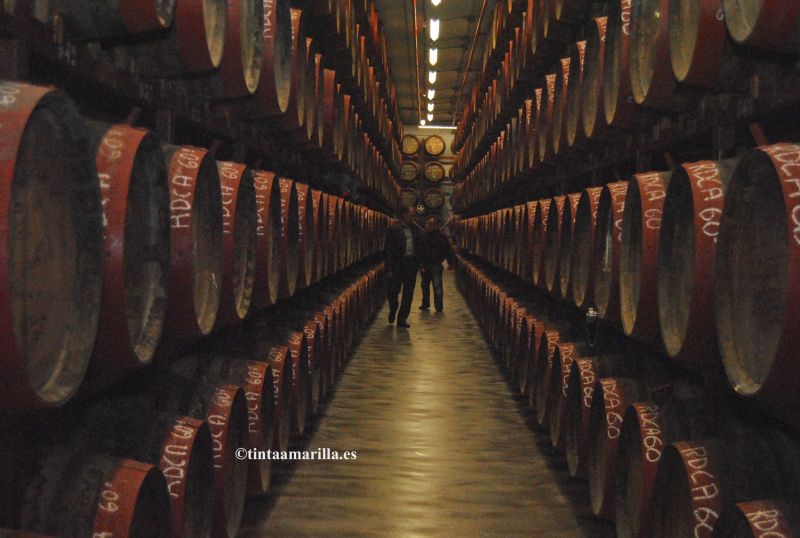 Arehucas se suma a la batalla contra el coronavirus