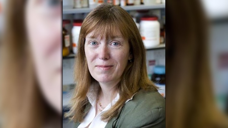 La Universidad de Oxford cree que tendrá en otoño la vacuna