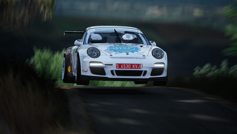 Diego Ruiloba gana el I Rally Virtual