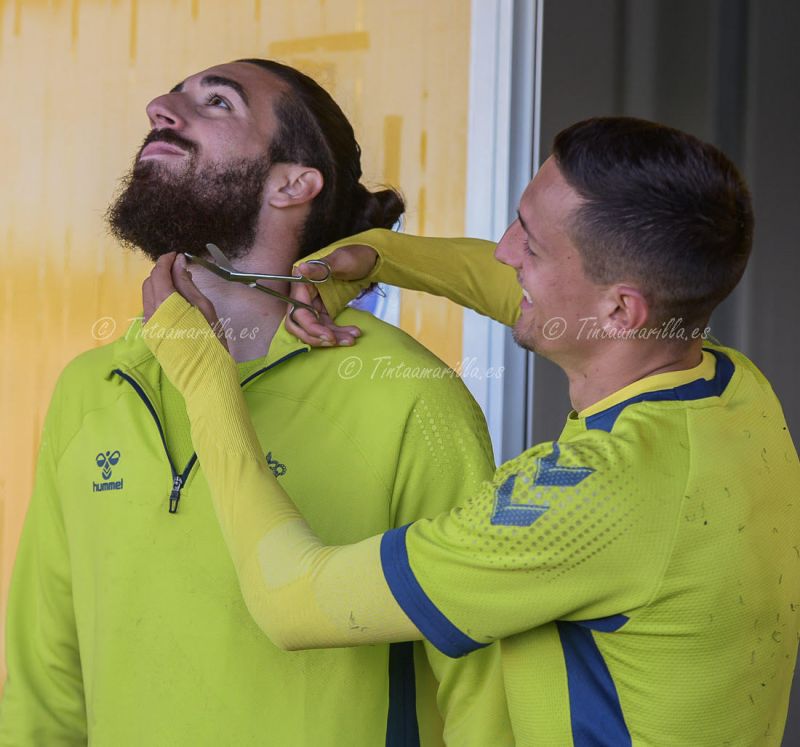 Cuando las barbas del vecino ...