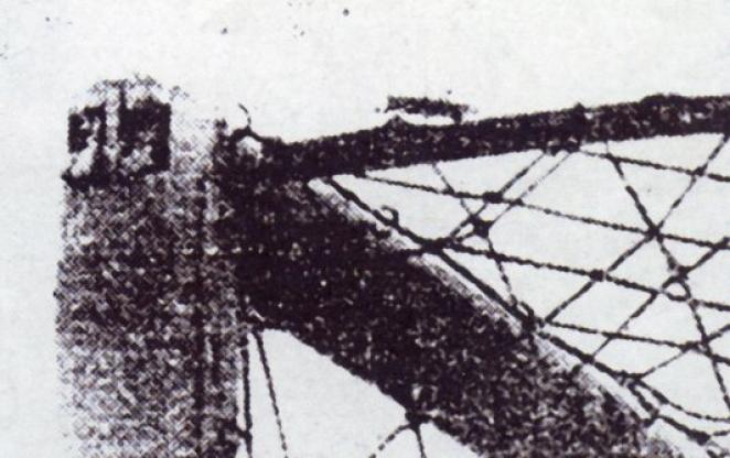 Langostas en la portería