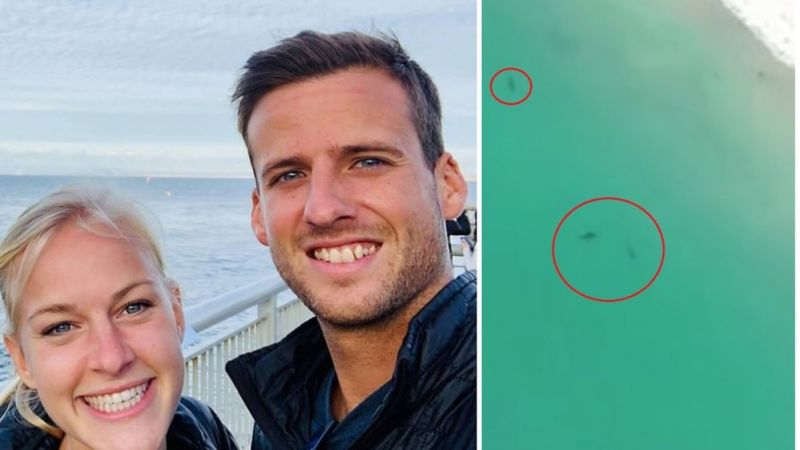 Un surfista rompe el confinamiento y muere por el ataque de un tiburón