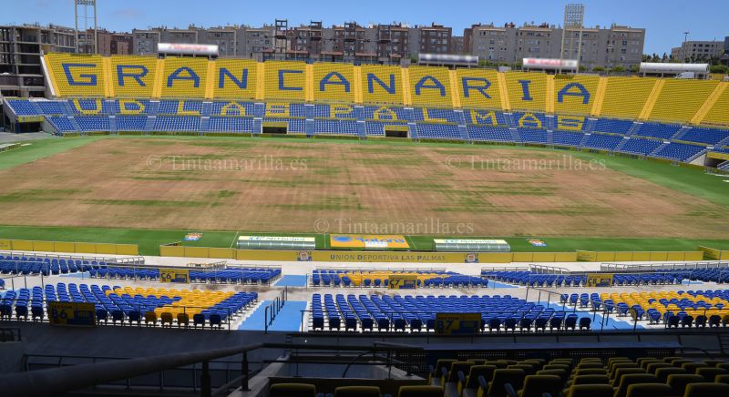 El césped, a ritmo de verano