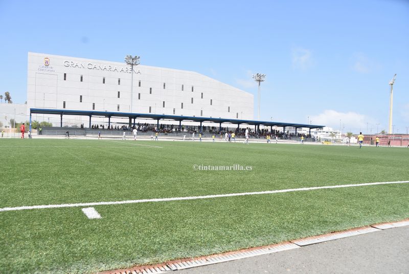 El Cabildo saca a concurso el nuevo césped del Anexo, por 500.000 euros