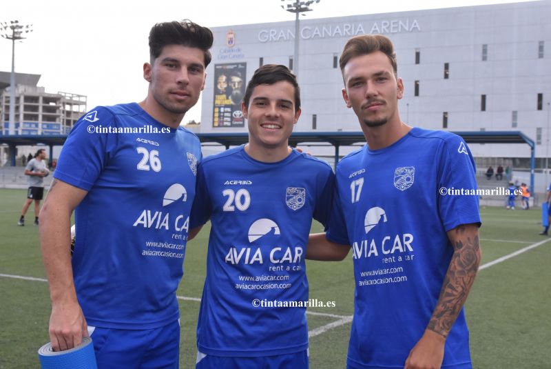 Amarillos en viaje al Sur