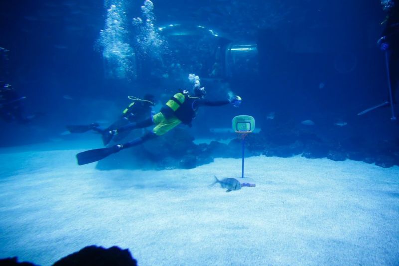 Shurna se presenta bajo el agua y entre tiburones