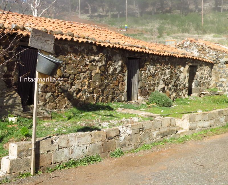 Basket en la Gran Canaria profunda