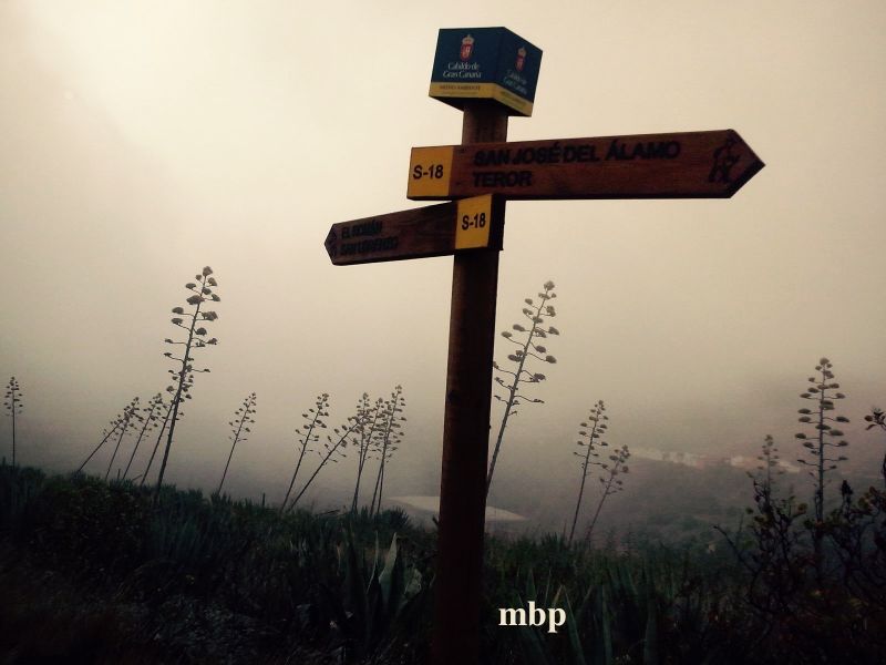 200 extranjeros participarán en el meeting de orientación