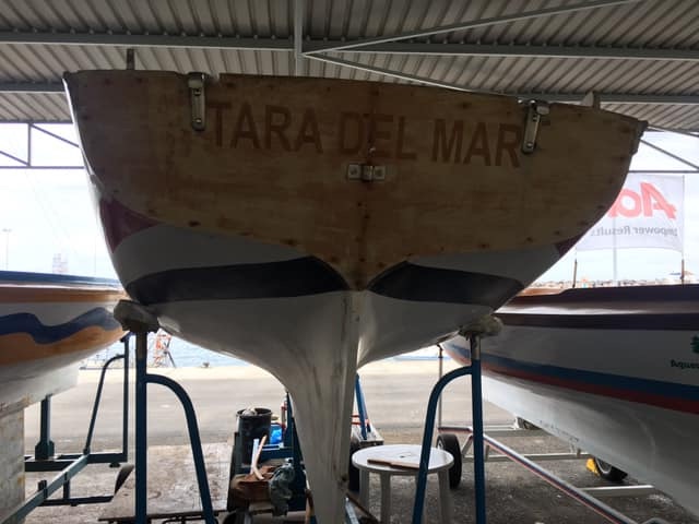 El Tara del Mar vuelve en 2020