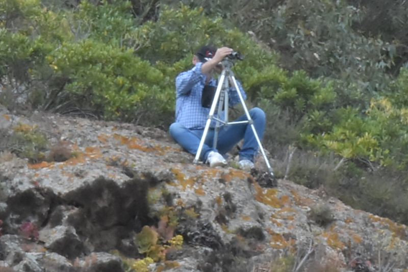 Padre en las alturas