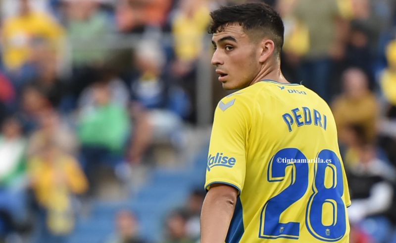 2019: El año de los 15 debuts de filiales