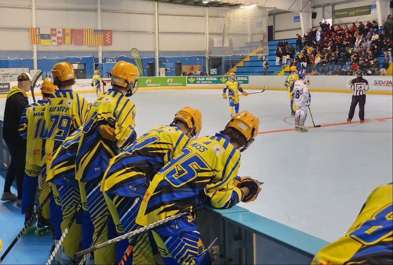 Molina Sport no pudo revalidar el título de Copa del Rey