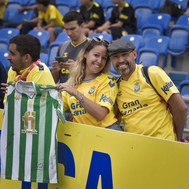 Amarillos y la colecta bética