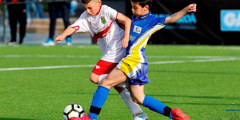 Canarias sub'12 termina su concurso en la fase nacional